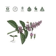 Load image into Gallery viewer, Koala Eco Natural Glass Cleaner Peppermint Essential Oil - 1L Refill