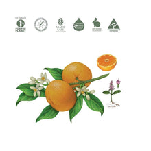 Load image into Gallery viewer, Koala Eco Natural Floor Cleaner Mandarin & Peppermint Essential Oil - 1L Refill