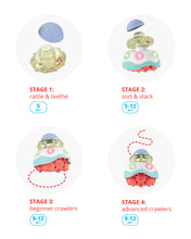 Load image into Gallery viewer, Skip Hop Crab 4-in-1 Crawl Toy