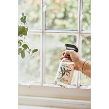 Load image into Gallery viewer, Koala Eco Natural Glass Cleaner Peppermint Essential Oil - 500ml