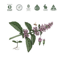 Load image into Gallery viewer, Koala Eco Natural Glass Cleaner Peppermint Essential Oil - 500ml