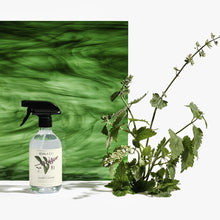 Load image into Gallery viewer, Koala Eco Natural Glass Cleaner Peppermint Essential Oil - 500ml