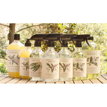 Load image into Gallery viewer, Koala Eco Natural Glass Cleaner Peppermint Essential Oil - 500ml