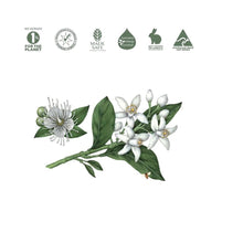 Load image into Gallery viewer, Koala Eco Natural Multi-Purpose Kitchen Cleaner Lemon Myrtle & Mandarin Essential Oil - 1L Refill