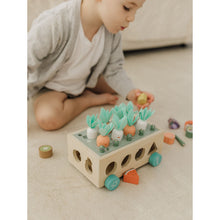 Load image into Gallery viewer, Bubble Wooden Vegetable Garden