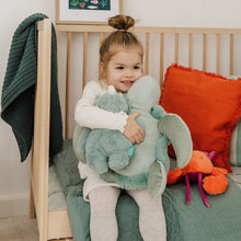 Load image into Gallery viewer, Bubble Plush Toy - Toby the Turtle