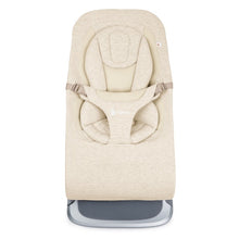 Load image into Gallery viewer, Ergobaby Evolve 3 in 1 Bouncer
