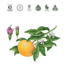 Load image into Gallery viewer, Koala Eco Natural Room Spray Pink Grapefruit & Peppermint Essential Oil - 250ml