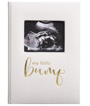 Load image into Gallery viewer, Pearhead Linen Pregnancy Journal