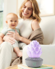 Load image into Gallery viewer, Skip Hop Terra Cry Activated Soother