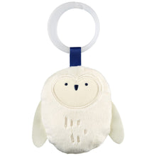 Load image into Gallery viewer, Skip Hop Celestial Dreams Activity Gym