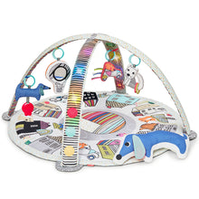 Load image into Gallery viewer, Skip Hop Vibrant Village Smart Lights Activity Gym