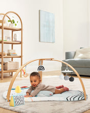 Load image into Gallery viewer, Skip Hop Discoverosity Deluxe Activity Gym