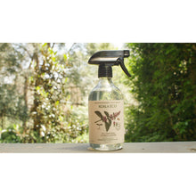 Load image into Gallery viewer, Koala Eco Natural Glass Cleaner Peppermint Essential Oil - 500ml
