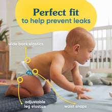 Load image into Gallery viewer, 3672
