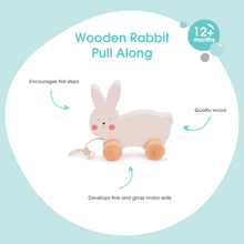 Load image into Gallery viewer, Bubble Wooden Rabbit Pull Along
