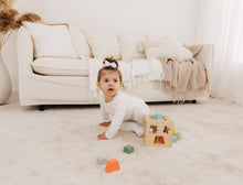 Load image into Gallery viewer, Bubble Wooden Shape Sorting Cube
