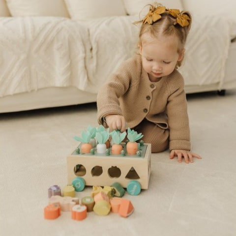 Toddler Toys