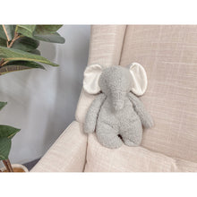 Load image into Gallery viewer, Bubble Ellie the Elephant
