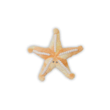 Load image into Gallery viewer, Bubble Plush Toy - Sunny the Starfish

