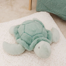Load image into Gallery viewer, Bubble Plush Toy - Toby the Turtle
