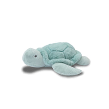 Load image into Gallery viewer, Bubble Plush Toy - Toby the Turtle
