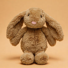 Load image into Gallery viewer, Bubble Plush Toy - Jamie the Bunny
