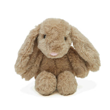 Load image into Gallery viewer, Bubble Plush Toy - Jamie the Bunny
