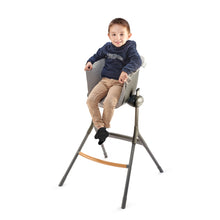 Load image into Gallery viewer, Beaba Up &amp; Down High Chair - Grey Junior Seat Textile
