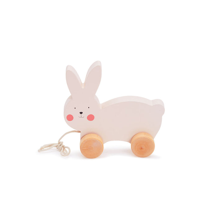 Bubble Wooden Rabbit Pull Along